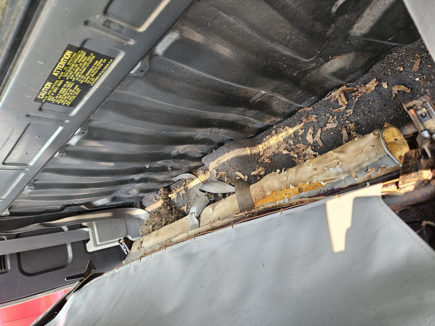 Leaves and debris packed behind the seat back against the rear cab wall