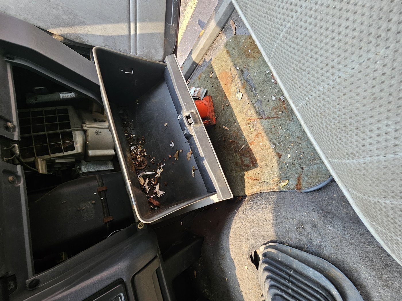 Open glovebox full of leaves, debris, and mouse nest material next to rusty floor